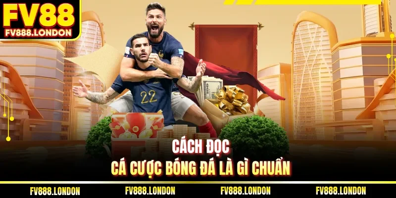 Cá Cược Bóng Đá Là Gì | Các Kiến Thức Thắng Lớn Tại FV88 Cách đọc cá cược bóng đá là gì chuẩn