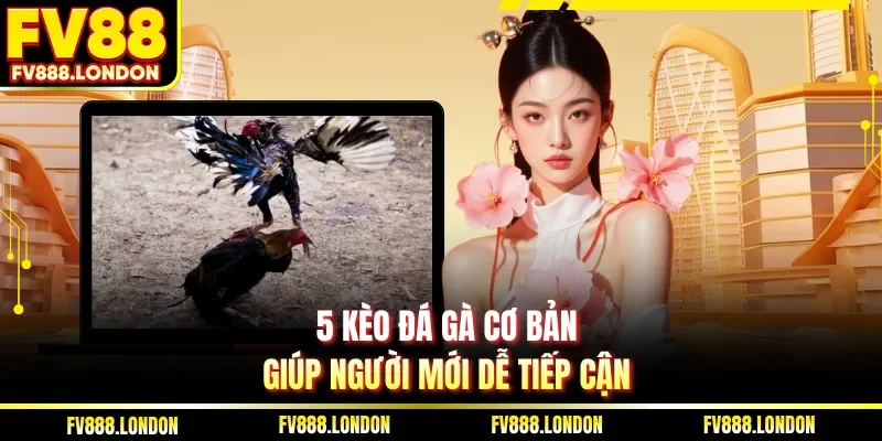 Cách Đặt Cược Đá Gà Chi Tiết Sân Chơi FV88 Hiệu Quả Nhất 5 kèo đá gà cơ bản giúp người mới dễ tiếp cận