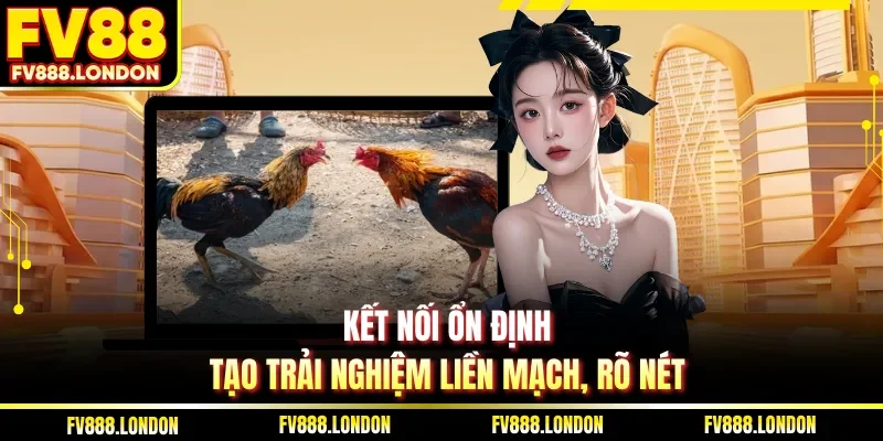 Cách Đặt Cược Đá Gà Chi Tiết Sân Chơi FV88 Hiệu Quả Nhất Kết nối ổn định tạo trải nghiệm liền mạch, rõ nét