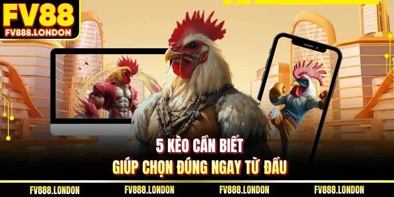 Cách Tham Gia Đá Gà Trực Tuyến Tại FV88 Nhanh Và Hiệu Quả 5 kèo cần biết giúp chọn đúng ngay từ đầu