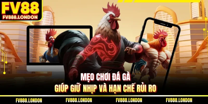 Cách Tham Gia Đá Gà Trực Tuyến Tại FV88 Nhanh Và Hiệu Quả Mẹo chơi đá gà giúp giữ nhịp và hạn chế rủi ro